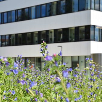 Comprehensive Heart Failure Centre DZHI