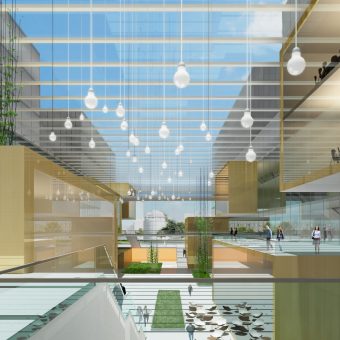 “University Hospital and University” strategic development plan